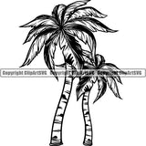 Nature Tree Palm 8iikk9b.jpg