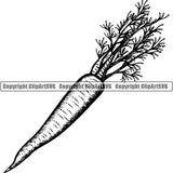 Food Carrot ClipArt SVG