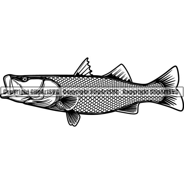 Sports Game Fishing Hunting Fish Hunt Fish Snook ClipArt SVG