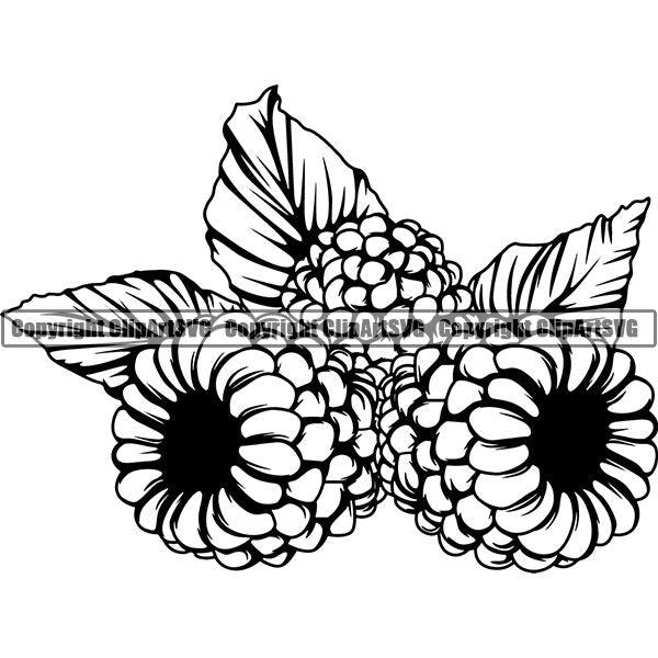 Food Blackberry ClipArt SVG