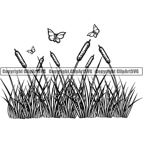 Nature Flower Grass jnn6s.jpg