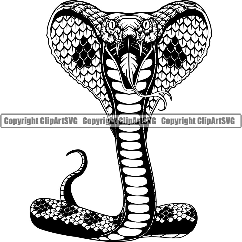 Cobra 8 SVG, Cobra SVG, Snake Svg, Cobra Clipart, Cobra Files for