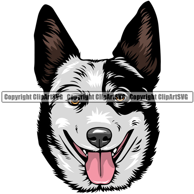 Australian Cattle Dog Dog Breed Head Color ClipArt SVG