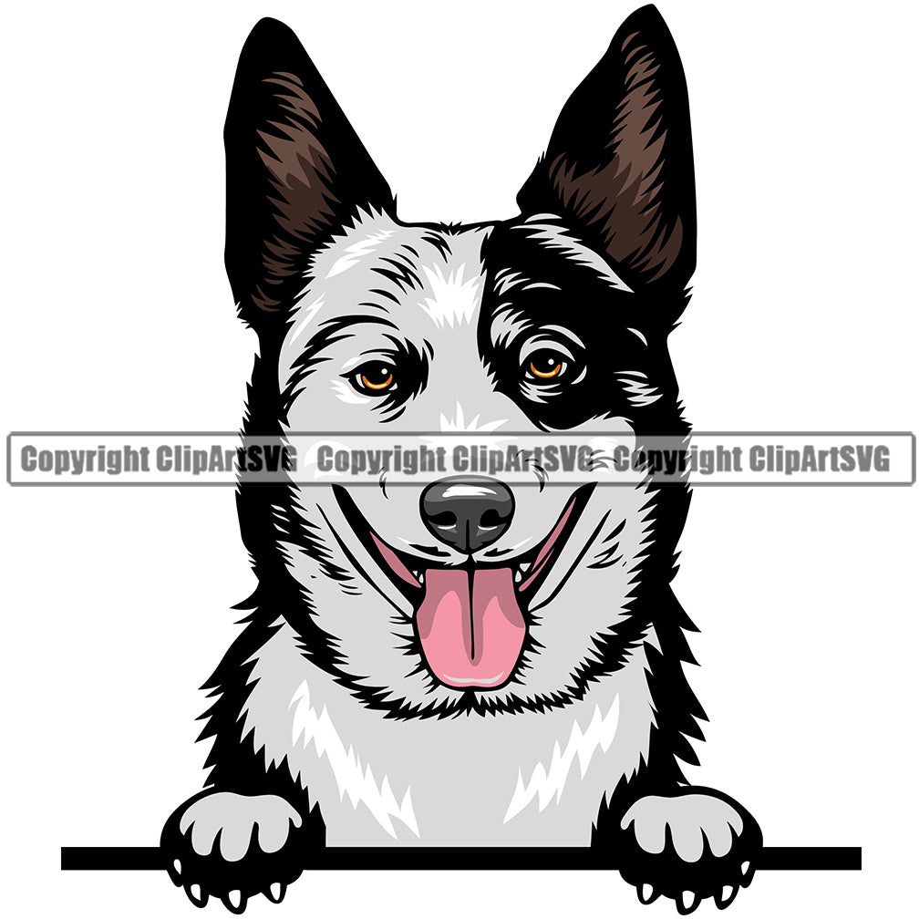 Australian Cattle Dog Dog Breed Peeking Color ClipArt SVG
