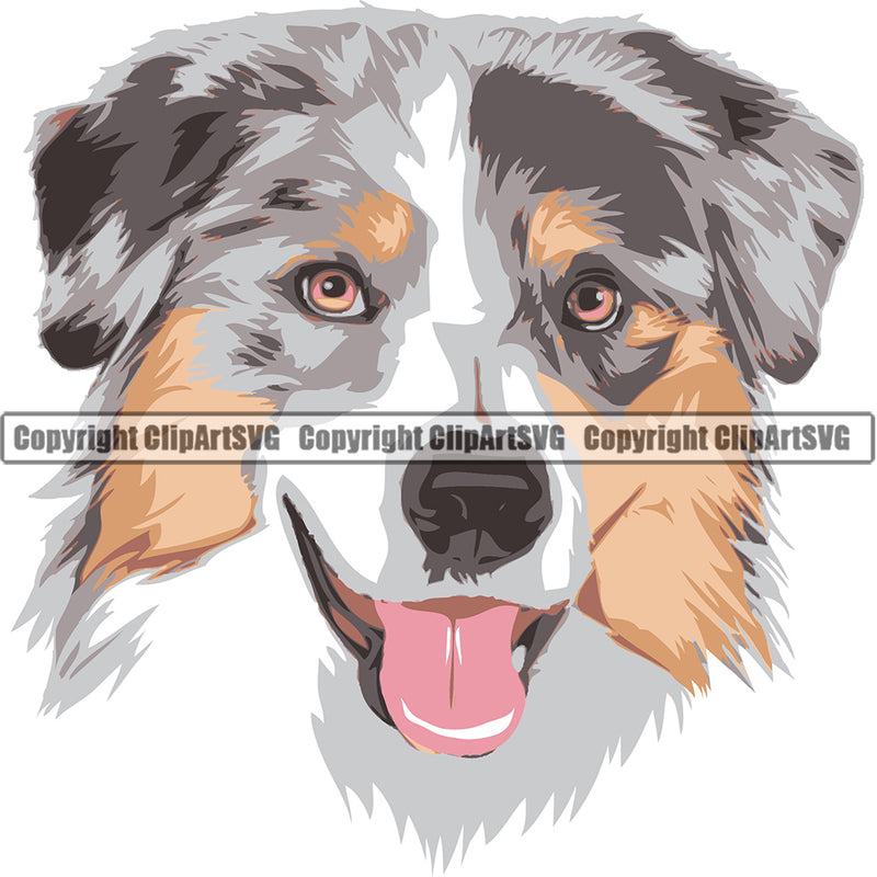 Australian Shepherd Dog Dog Breed Color ClipArt SVG