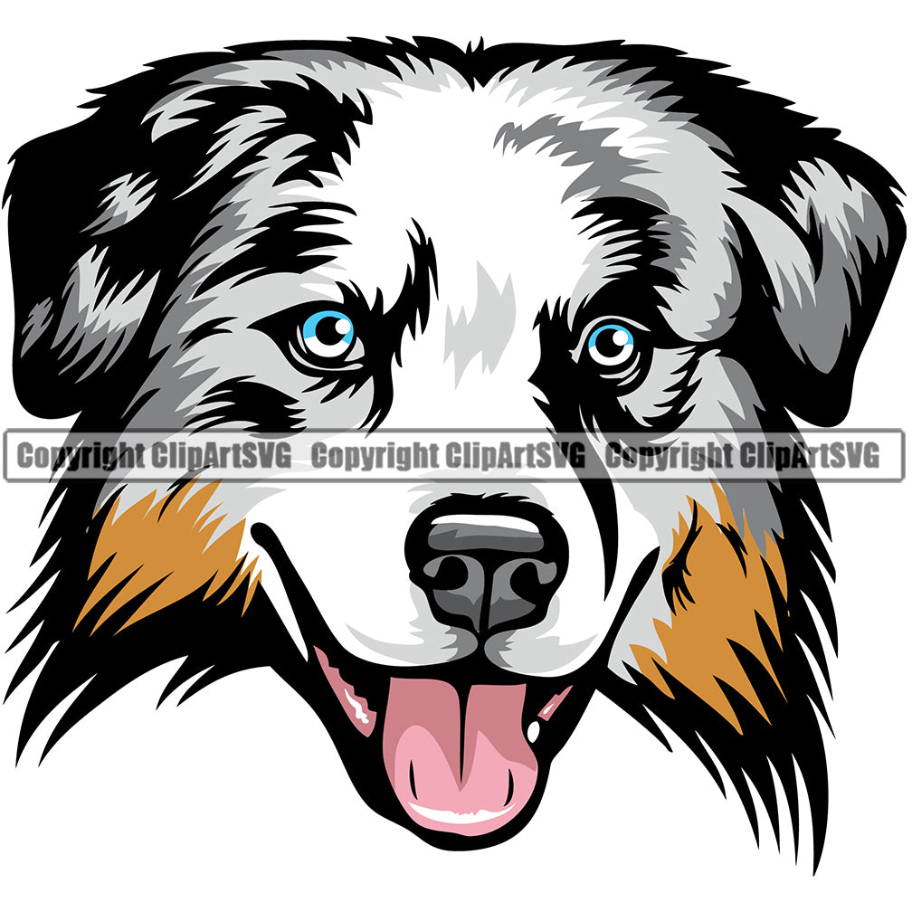 Australian Shepherd Dog Breed Head Color ClipArt SVG