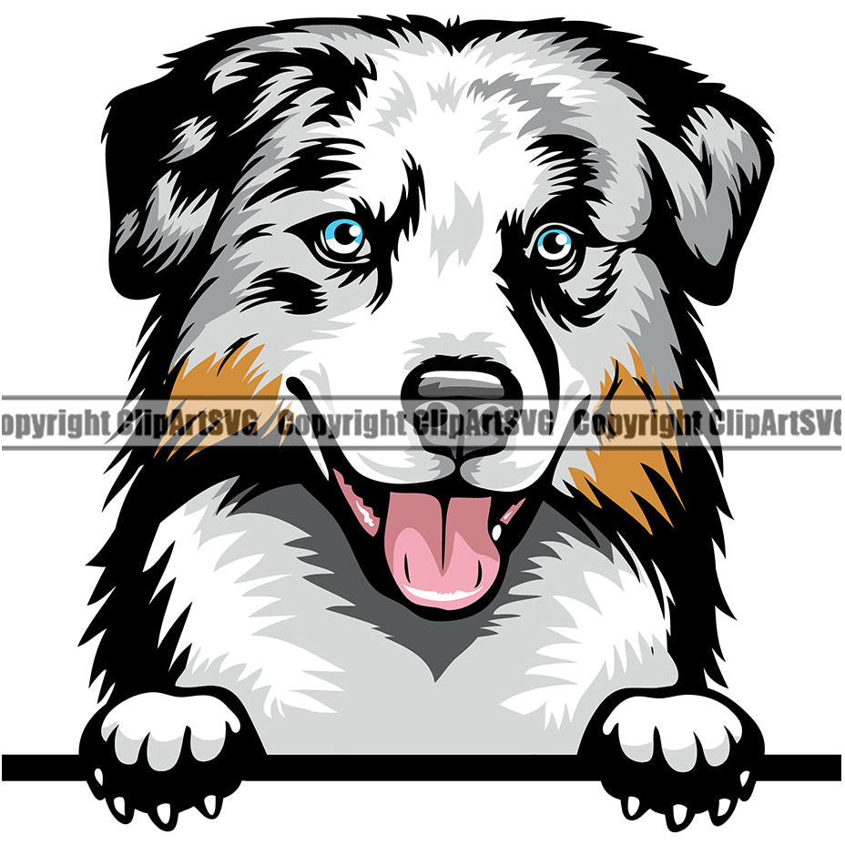 Australian Shepherd Dog Breed Peeking Color ClipArt SVG