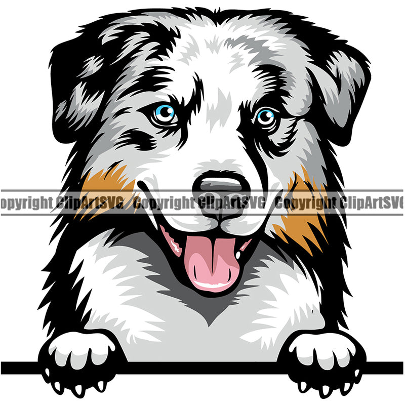 Australian Shepherd Dog Breed Peeking Color ClipArt SVG