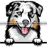 Australian Shepherd Dog Breed Peeking Color ClipArt SVG