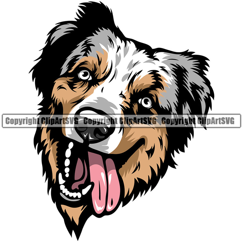 Australian Shepherd Dog Breed Head Color ClipArt SVG