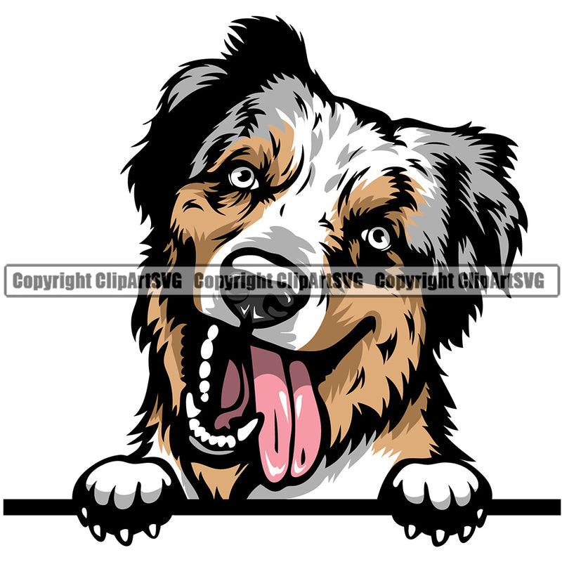 Australian Shepherd Dog Breed Peeking Color ClipArt SVG