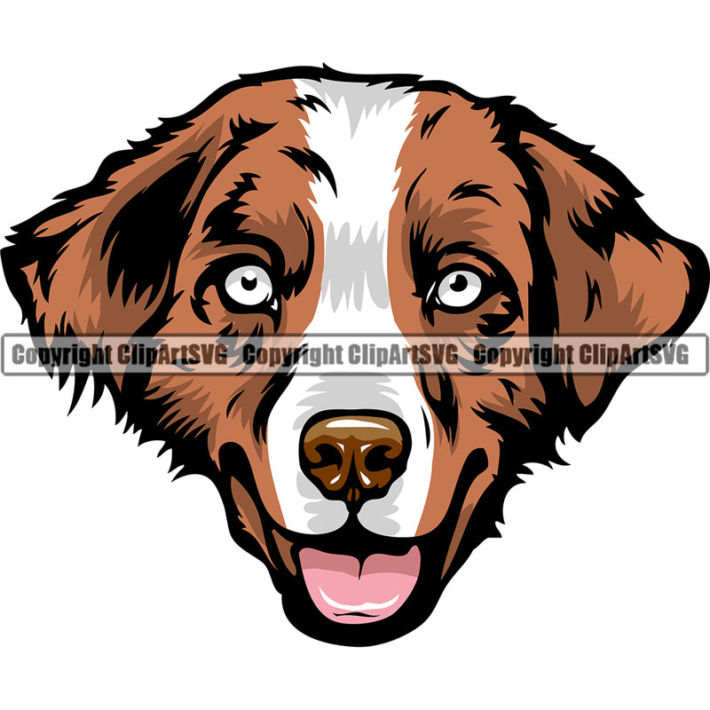 Australian Shepherd Dog Breed Head Color ClipArt SVG