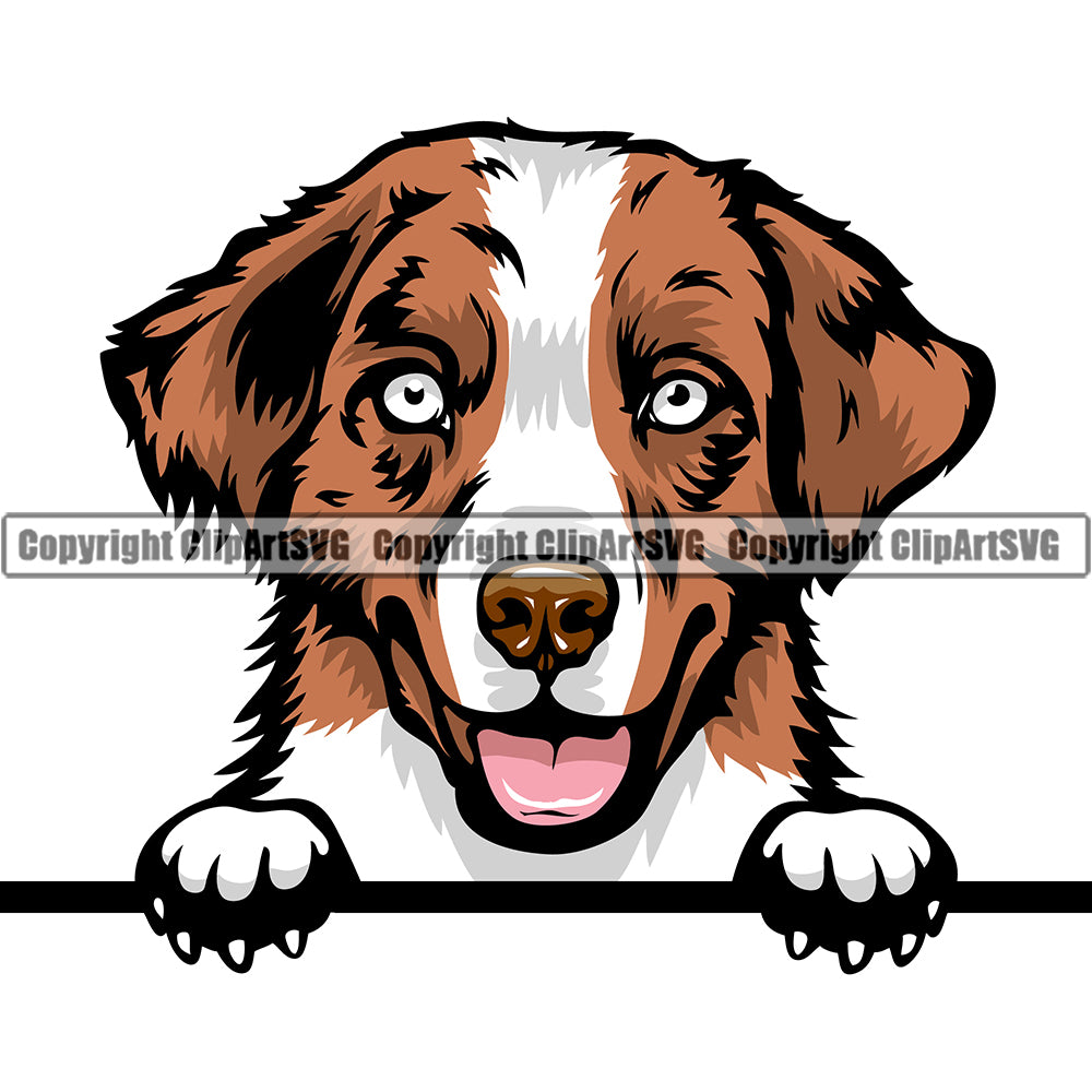 Australian Shepherd Dog Breed Peeking Color ClipArt SVG