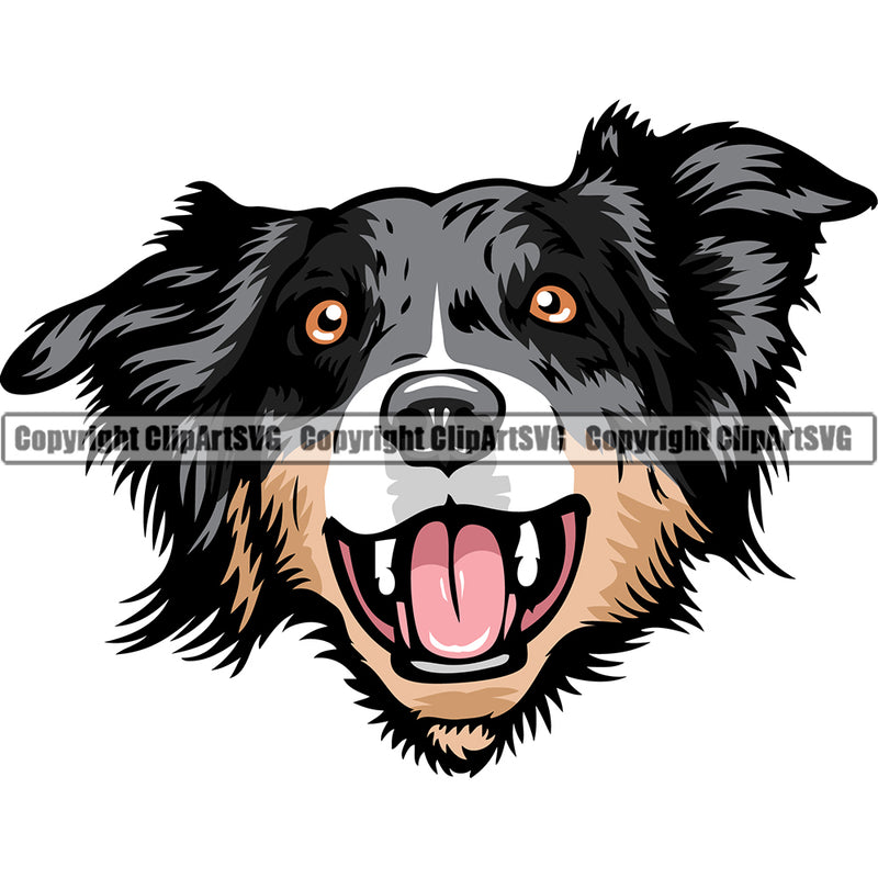 Australian Shepherd Dog Breed Head Color Peeking ClipArt SVG