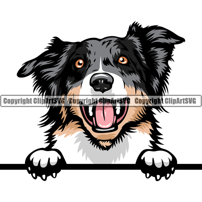 Australian Shepherd Dog Breed Head Color Peeking ClipArt SVG