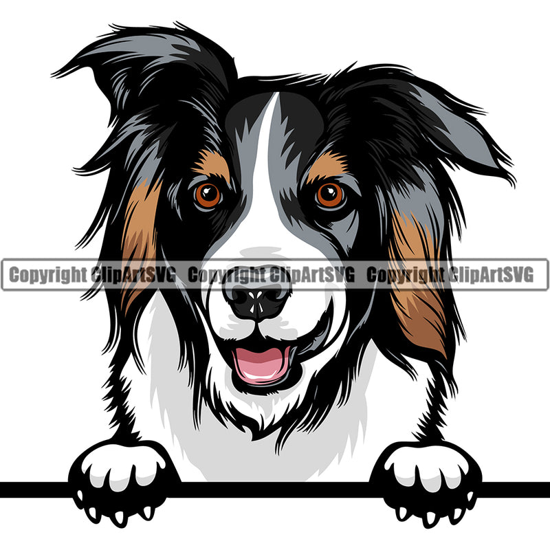 Australian Shepherd Dog Breed Head Color Peeking ClipArt SVG