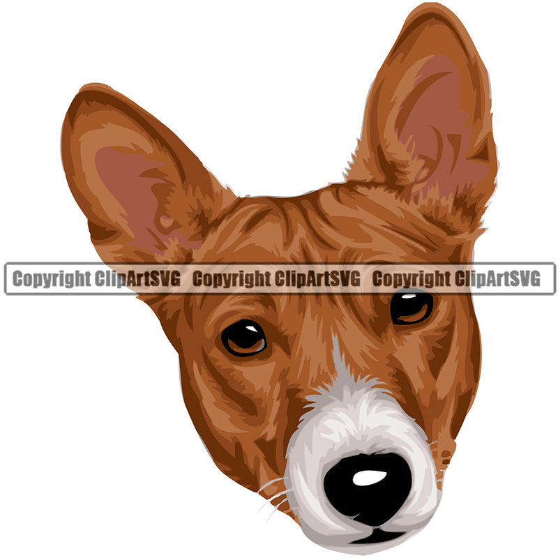 Dog Basenji Head Color ClipArt SVG