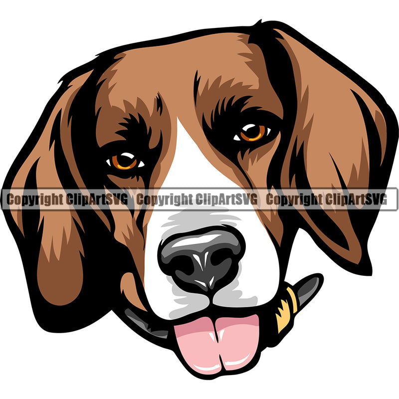 Beagle Dog Breed Head Color ClipArt SVG