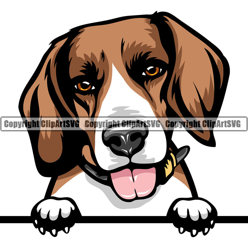 Beagle Dog Breed Peeking Color ClipArt SVG
