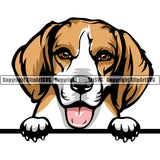 Beagle Dog Breed Peeking Color ClipArt SVG