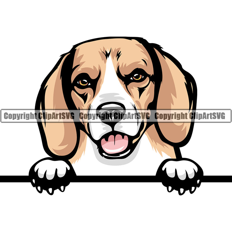 Beagle Dog Breed Peeking Color ClipArt SVG
