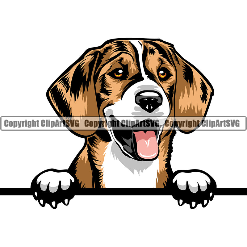 Beagle Dog Breed Peeking Color ClipArt SVG