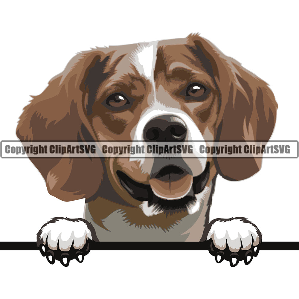 Beagle Dog Breed Head Color ClipArt SVG