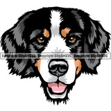 Bernese Mountain Dog Breed Head Color ClipArt SVG
