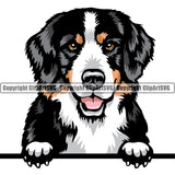 Bernese Mountain Dog Breed Peeking Color ClipArt SVG