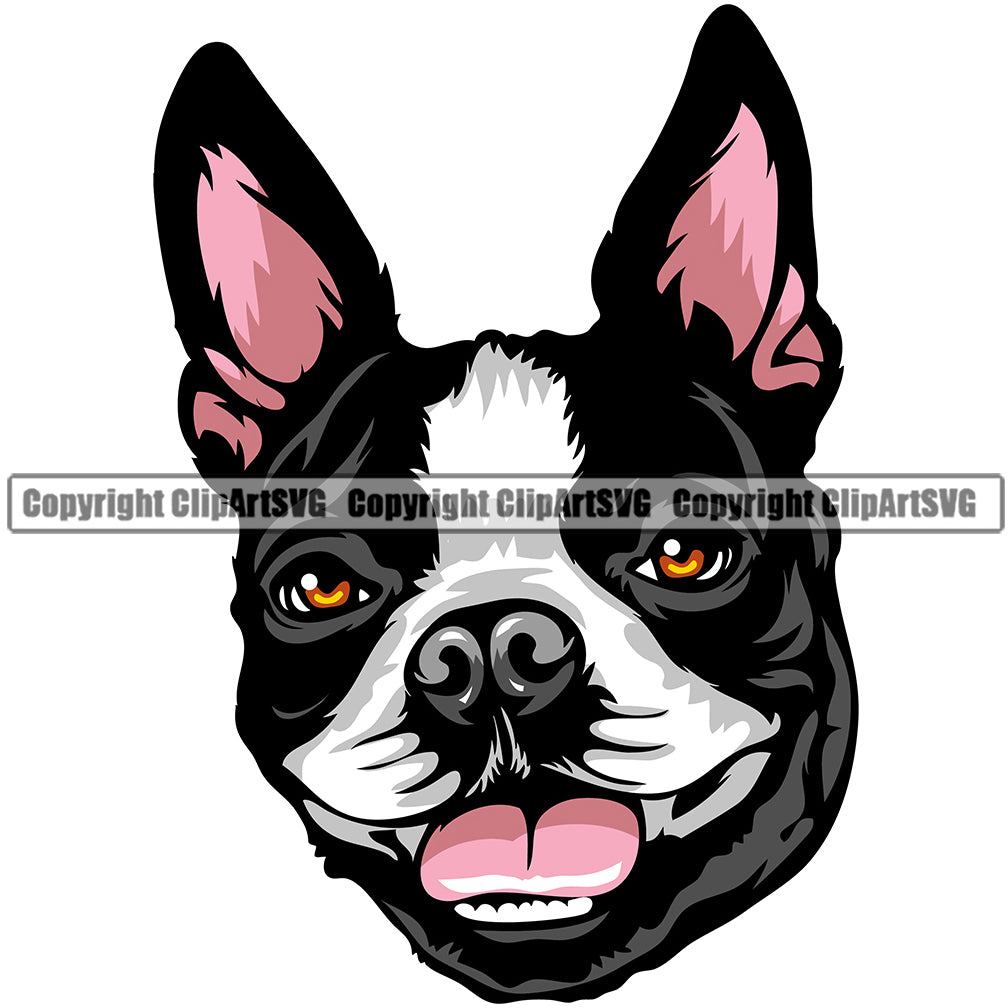 Boston Terrier Dog Breed Head Face ClipArt SVG