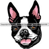 Boston Terrier Dog Breed Head Face ClipArt SVG