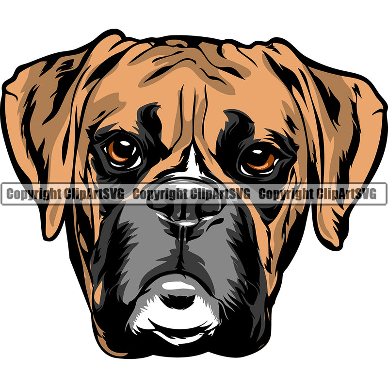 Boxer Dog Breed Head Color ClipArt SVG