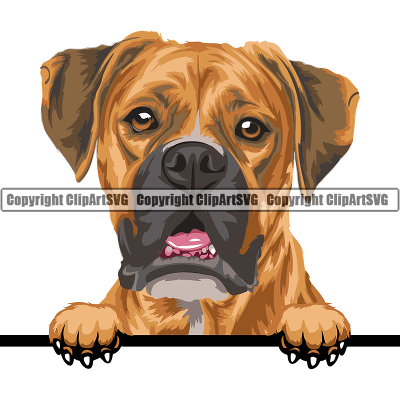 Boxer Dog Breed Peeking Color ClipArt SVG
