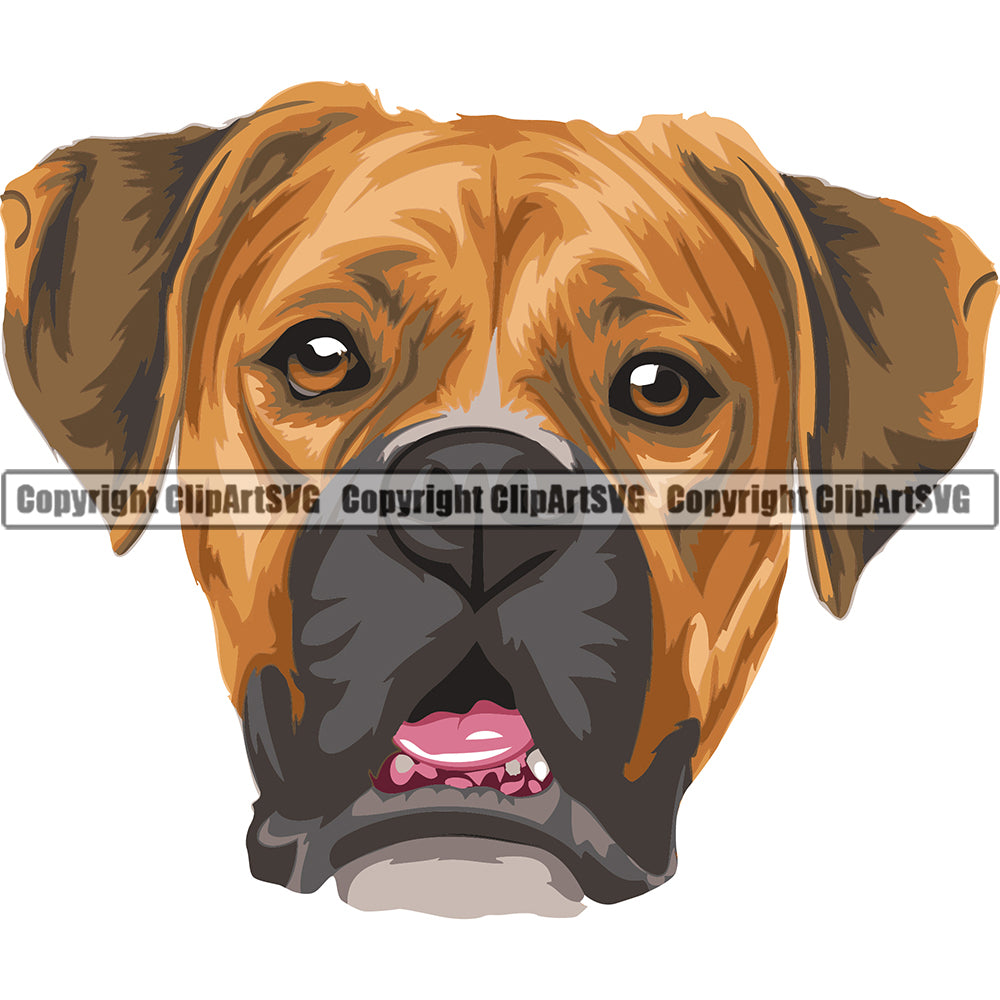 Boxer Dog Breed Head Color ClipArt SVG