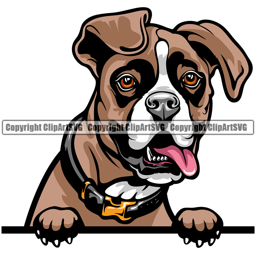 Boxer Dog Breed Peeking Color ClipArt SVG