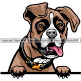 Boxer Dog Breed Peeking Color ClipArt SVG