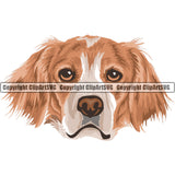 Brittany Spaniel Breed Head Face ClipArt SVG