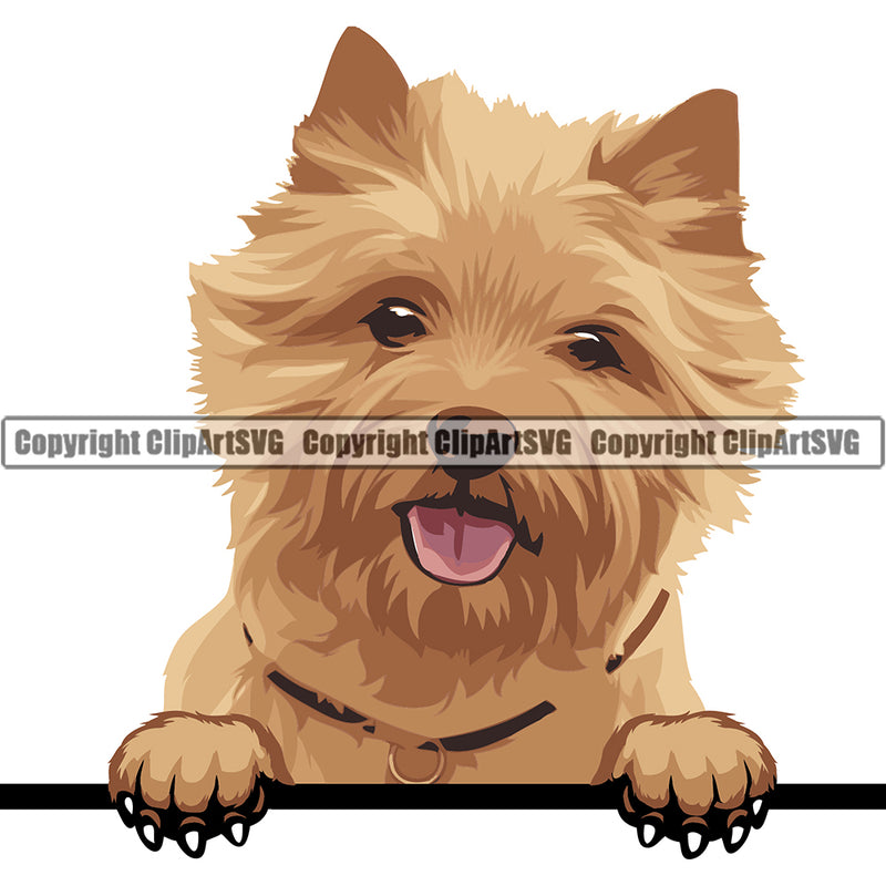 Cairn Terrier Dog Breed Peeking Color ClipArt SVG