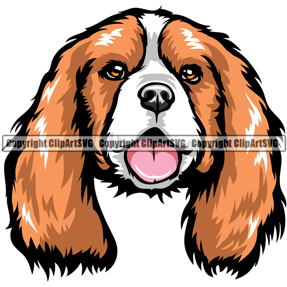 Cavalier King Charles Spaniel Dog Breed Head Color ClipArt SVG