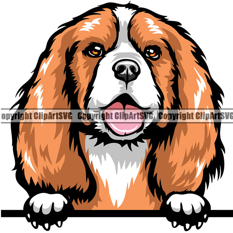 Cavalier King Charles Spaniel Peeking Dog Breed ClipArt SVG