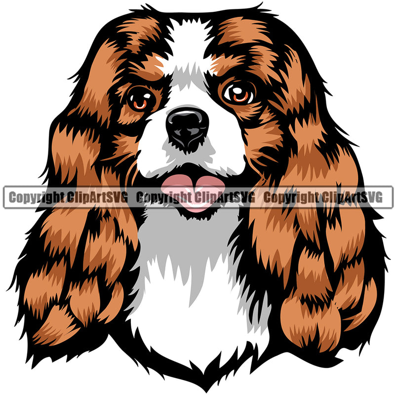 Cavalier King Charles Spaniel Dog Breed Head Color ClipArt SVG
