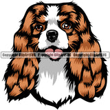 Cavalier King Charles Spaniel Dog Breed Head Color ClipArt SVG