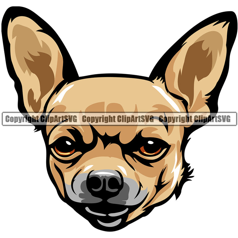 Chihuahua Dog Breed Head Color ClipArt SVG