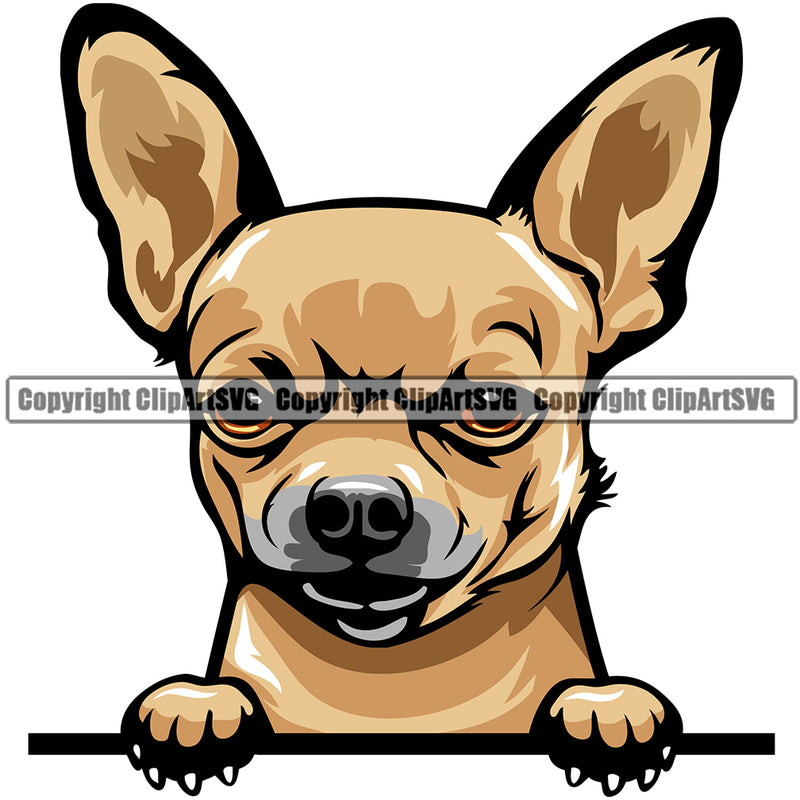 Chihuahua Dog Breed Peeking Color ClipArt SVG