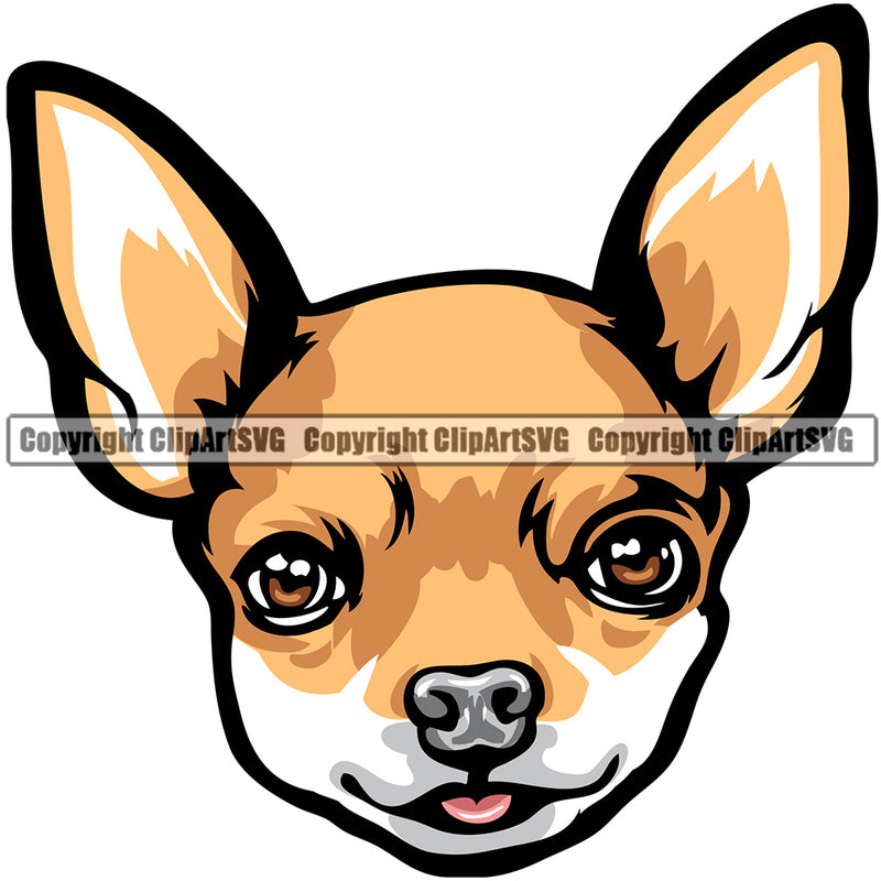 Chihuahua Dog Breed Head Color ClipArt SVG
