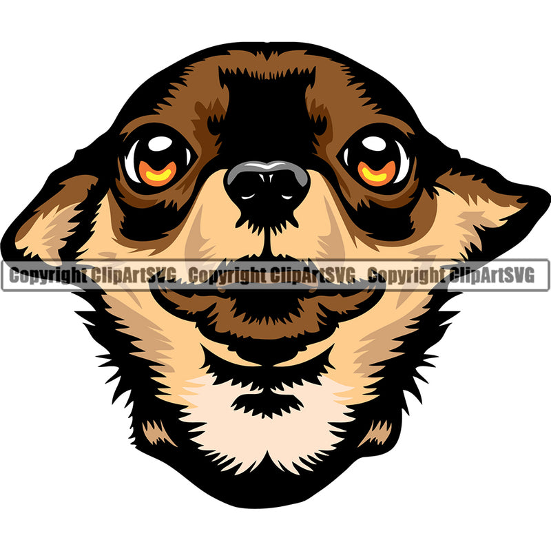 Chihuahua Dog Breed Head Color ClipArt SVG