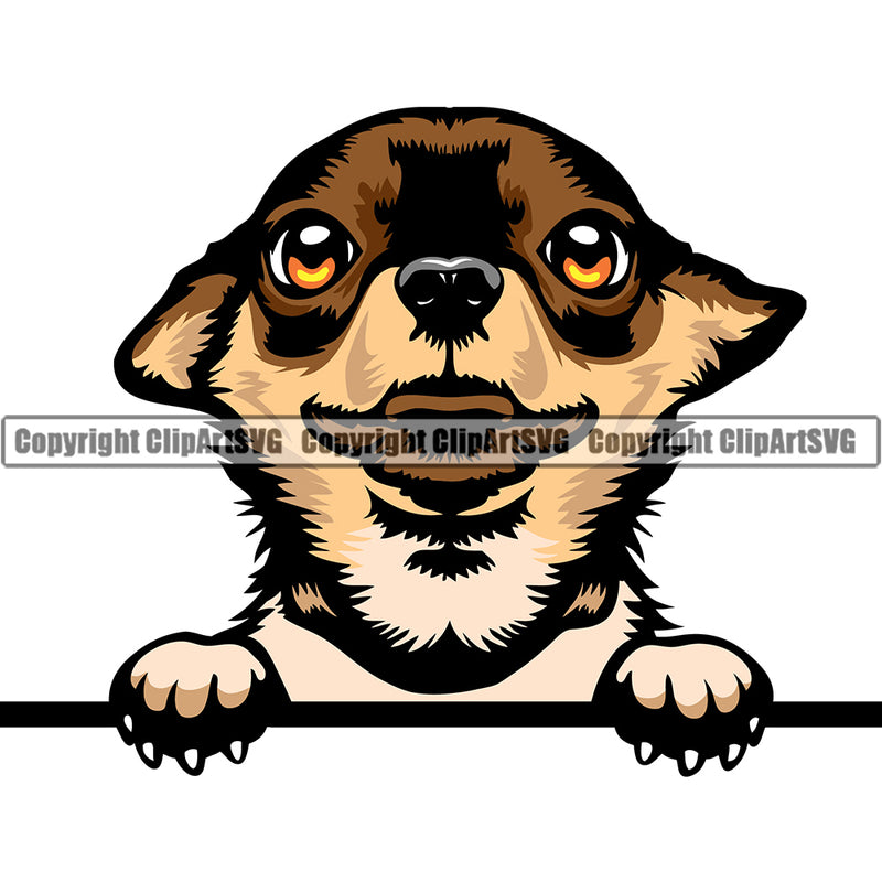 Chihuahua Dog Breed Peeking Color ClipArt SVG