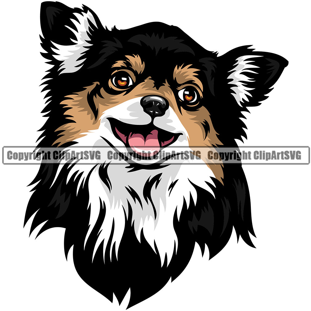 Chihuahua Dog Breed Head Color ClipArt SVG