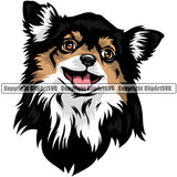 Chihuahua Dog Breed Head Color ClipArt SVG
