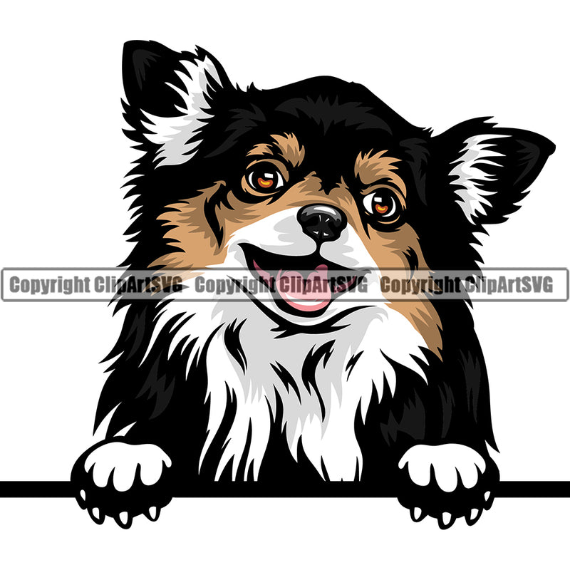 Chihuahua Dog Breed Peeking Color ClipArt SVG